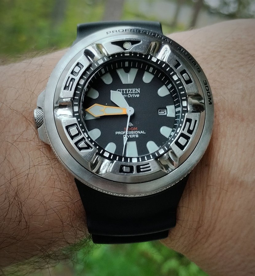 Ecozilla Citizen BJ8050-08E