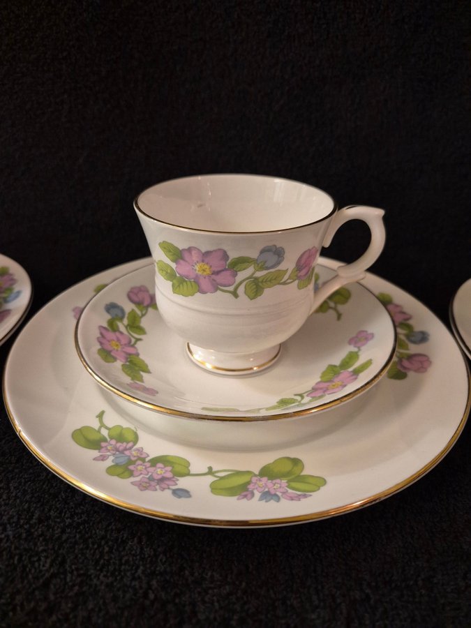 Staffordshire "Country Garden" 15 delar