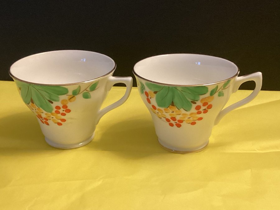 Rosina , Queen's Pottery ,England Fine Bone China 2 koppar utan fat