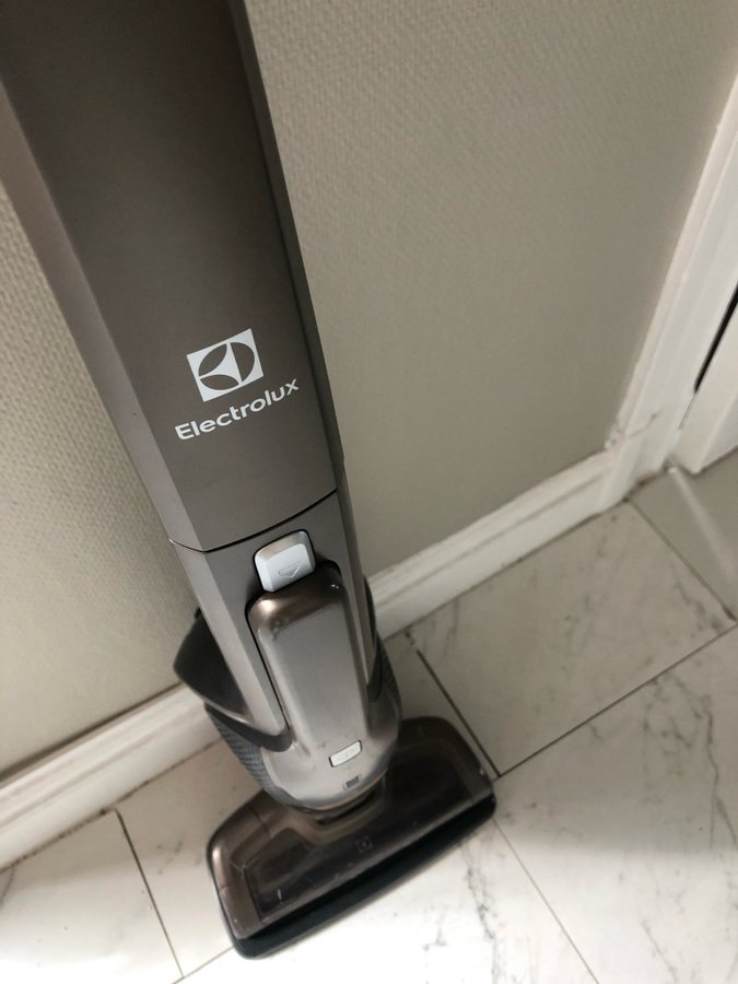 Electrolux Städsug