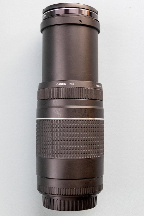 Canon EF 75-300mm f/4-5.6 III Objektiv