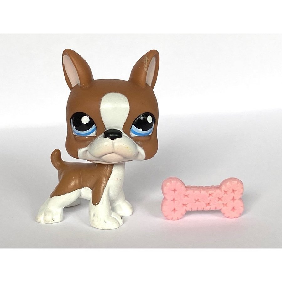 Hund, Bostonterrier - Littlest Pet Shop - Petshop, Petshops, Pet shops, Lps