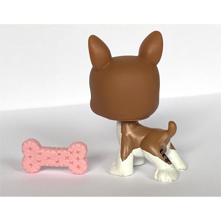 Hund, Bostonterrier - Littlest Pet Shop - Petshop, Petshops, Pet shops, Lps