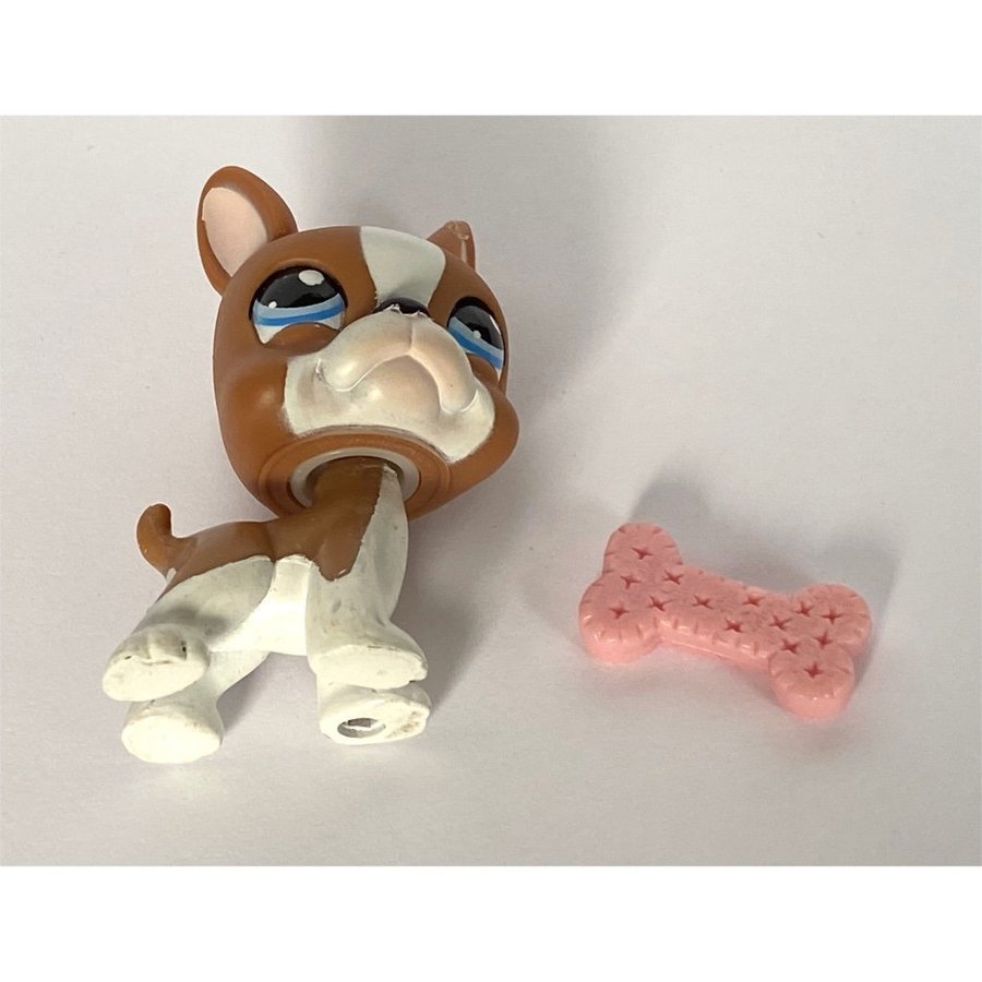 Hund, Bostonterrier - Littlest Pet Shop - Petshop, Petshops, Pet shops, Lps