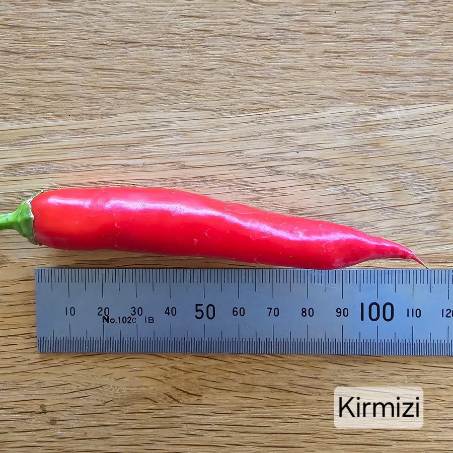 Kirmizi Chili