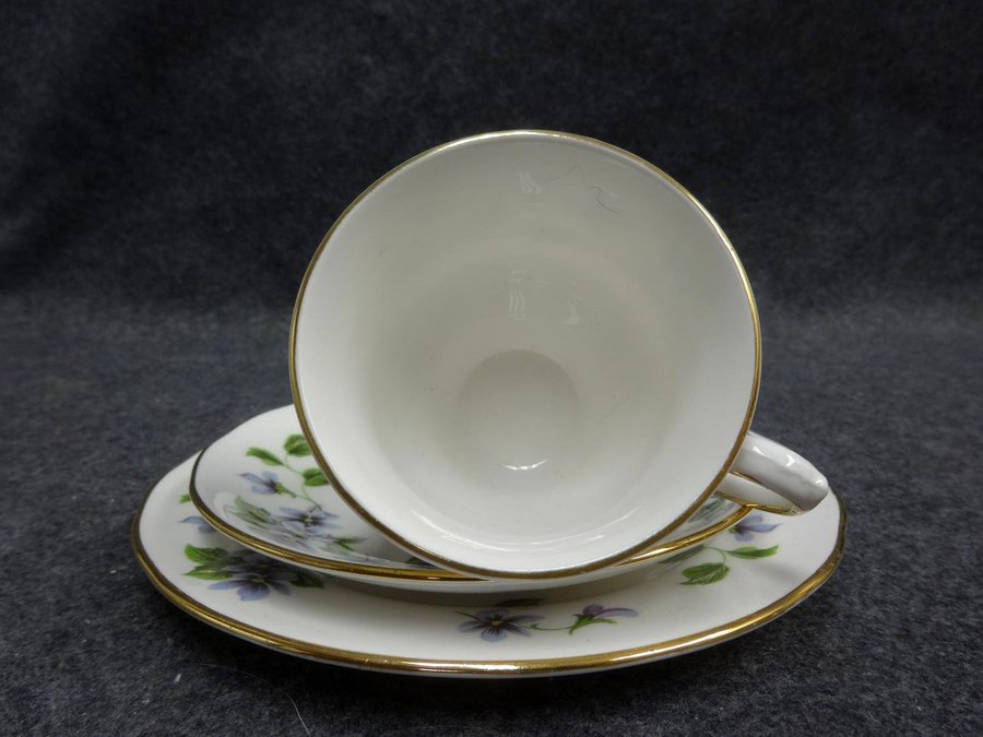 Kaffekopp med Fat och Assiett Queen Anne Fine Bone China England 50 - tal