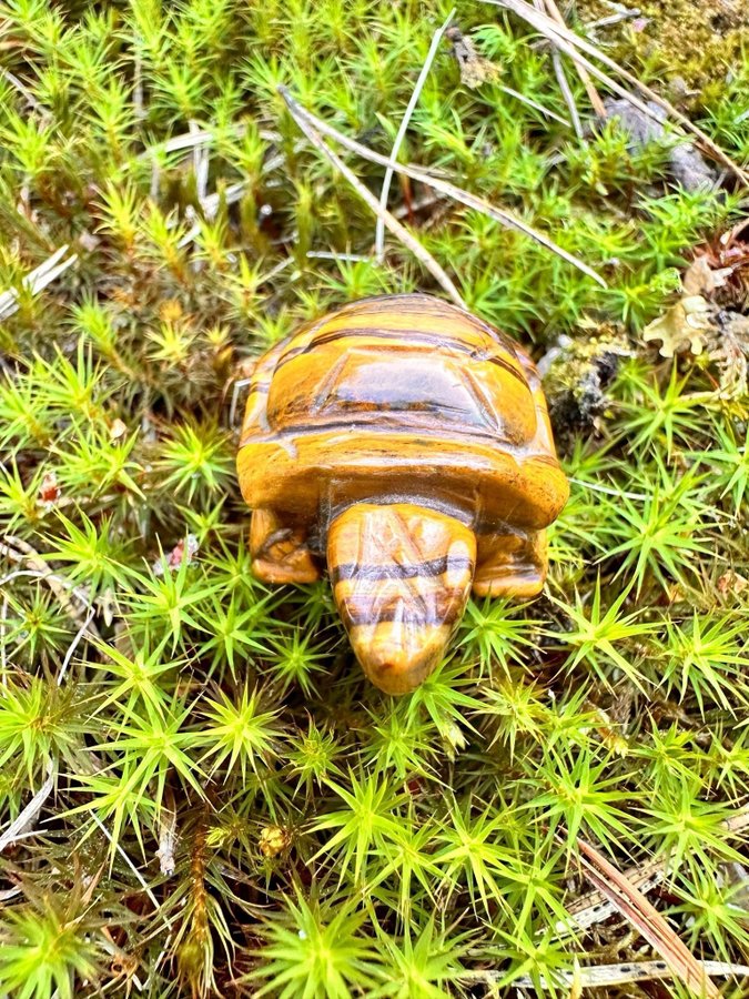 Handgjord Naturlig Tigerögat mineral sköldpadda