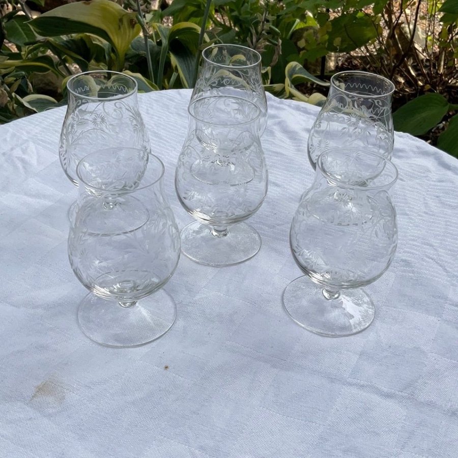 Graverade glas calvados cognac 6 st