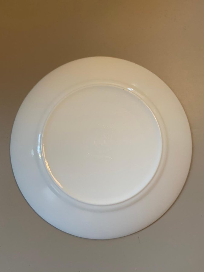 Assiett Tallrik D:195 cm  arcopal France extra resistant Restaurant