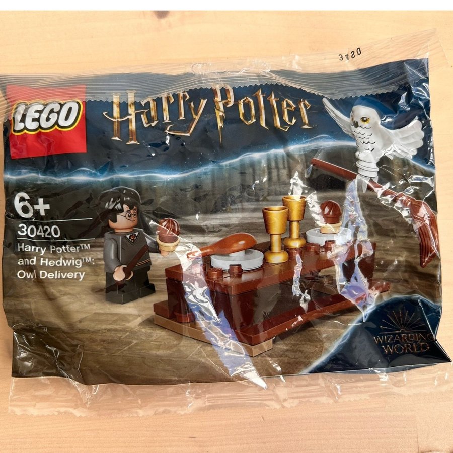 LEGO Harry Potter 30420 Harry Potter™ and Hedwig™ Owl Delivery