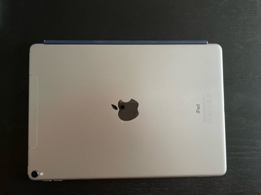 iPad Pro (10.5-inch) 2017 Grå 256GB