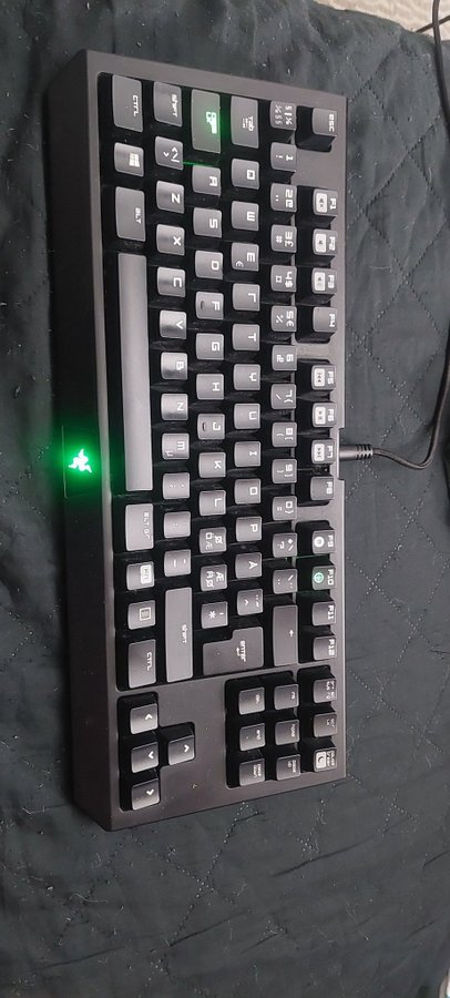 Razer BlackWidow tangentbord tkl tournament edition green swithes