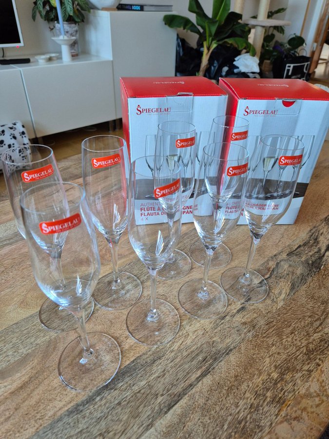 Nya 8 st Spiegelau Champagne glas