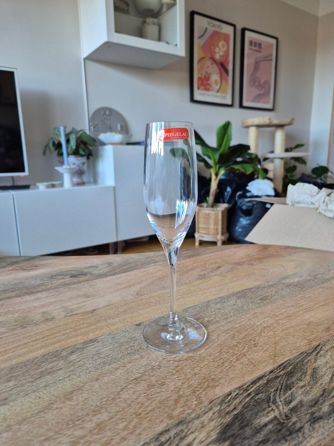 Nya 8 st Spiegelau Champagne glas