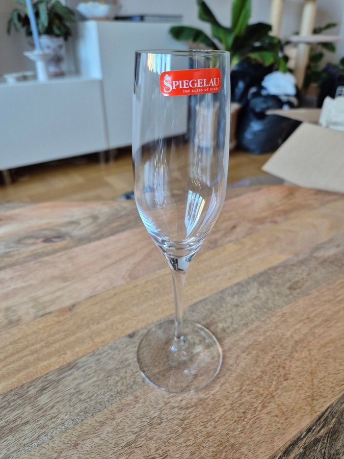 Nya 8 st Spiegelau Champagne glas