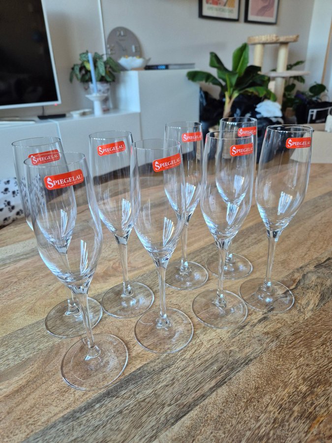 Nya 8 st Spiegelau Champagne glas