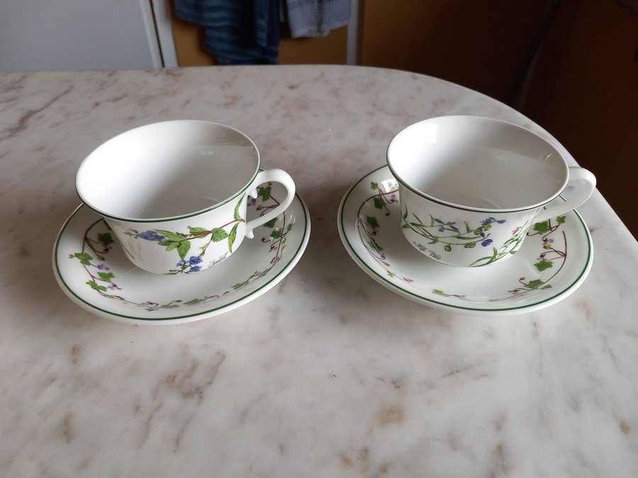 Two Portmeirion Porcelain Cups  Saucers. Welsh Wild Flowers.