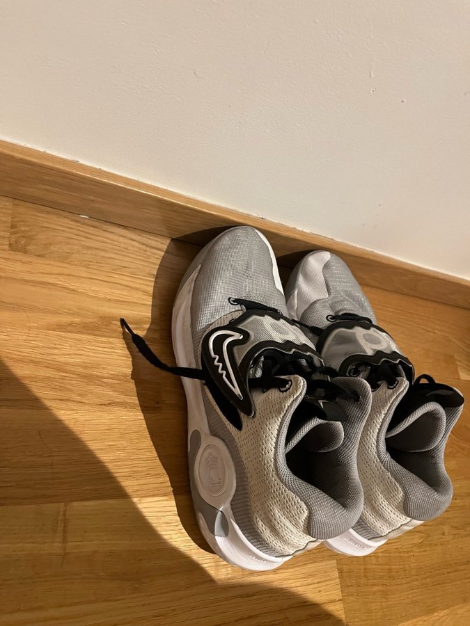 Nike KD 14 Grå Storlek 46