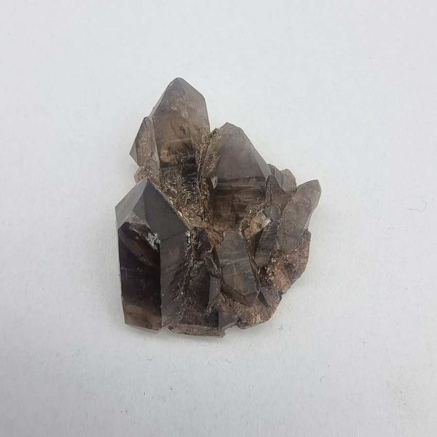 Smokey Quartz Cluster in matrix from Hurum, Norway