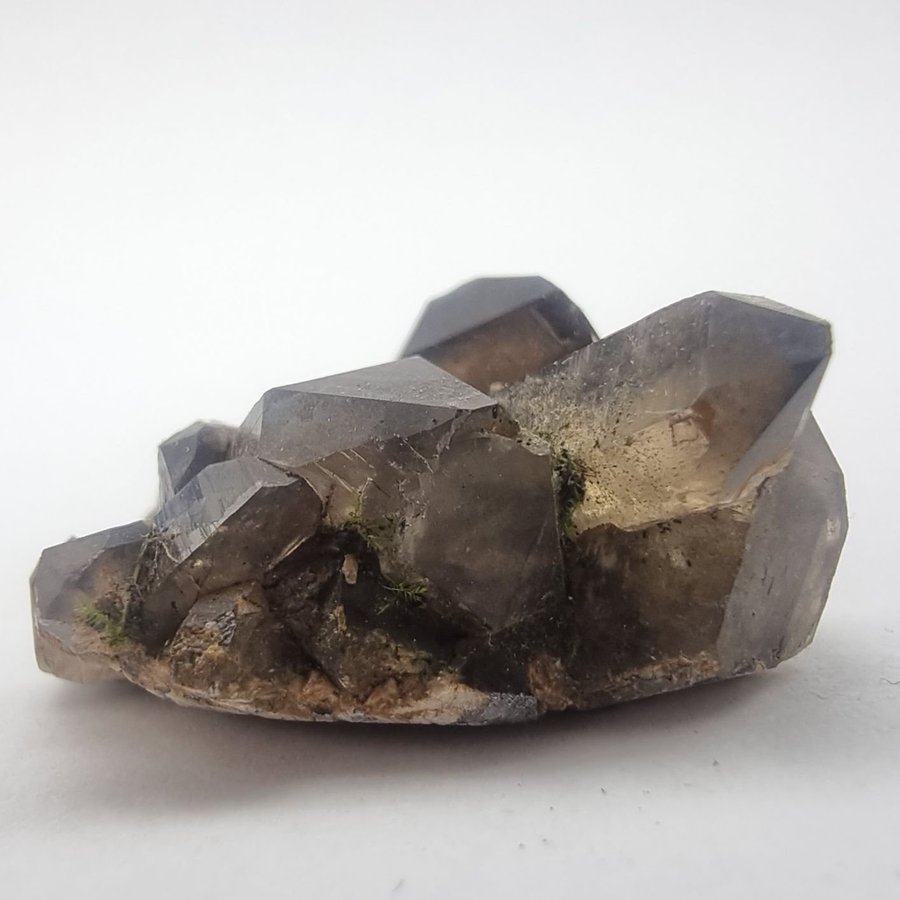 Smokey Quartz Cluster in matrix from Hurum, Norway