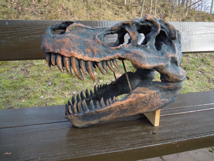 Dinosauriehuvud T Rex