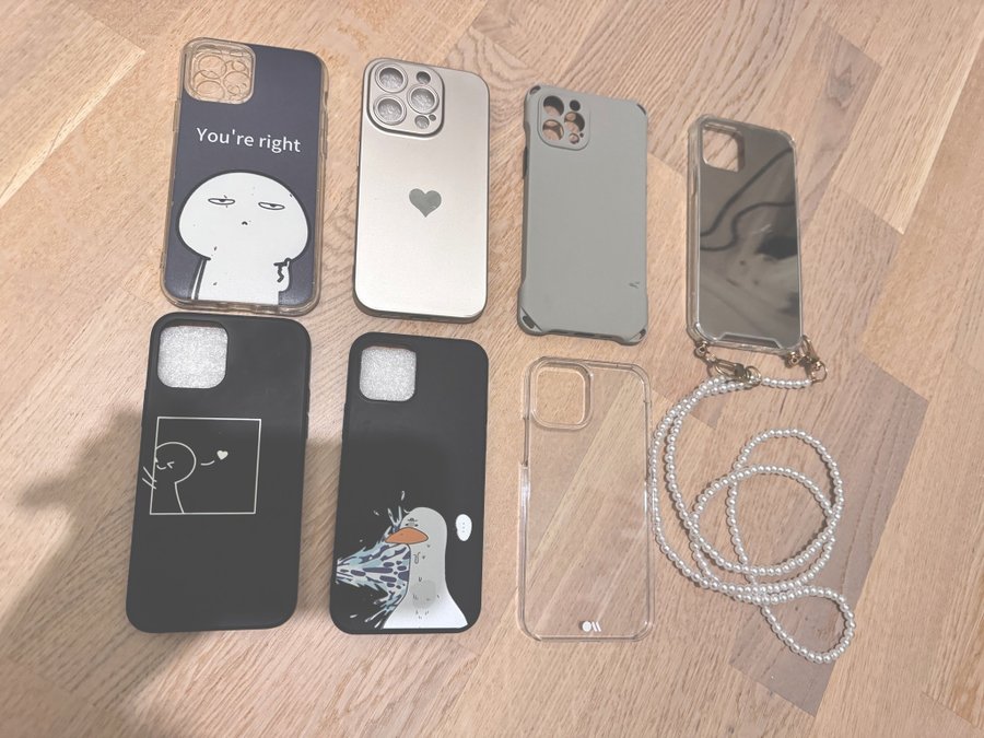 iPhone 12/pro cases