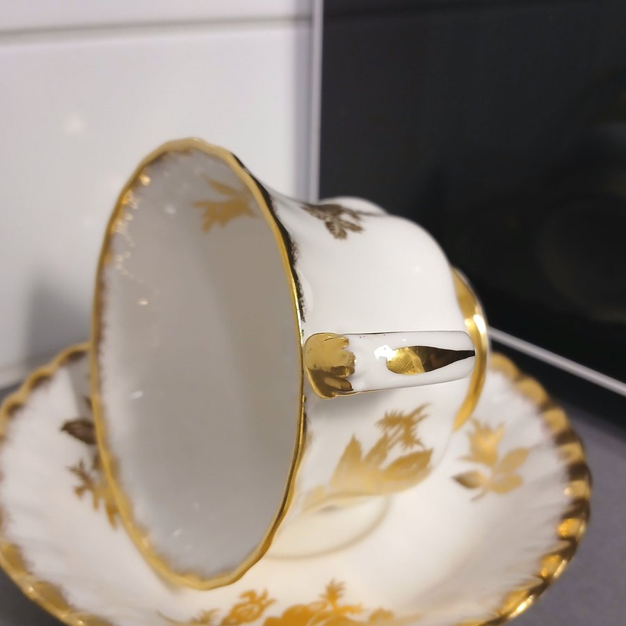 Royal Albert Golden Rose Kopp  Fat