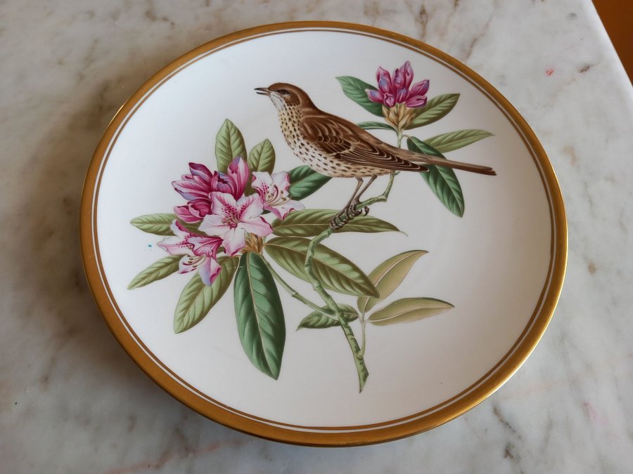 Spode Porcelain Collectors Plate. Mistle Thrush.