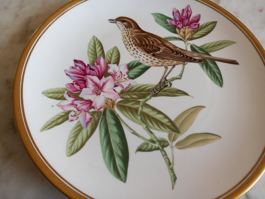 Spode Porcelain Collectors Plate. Mistle Thrush.