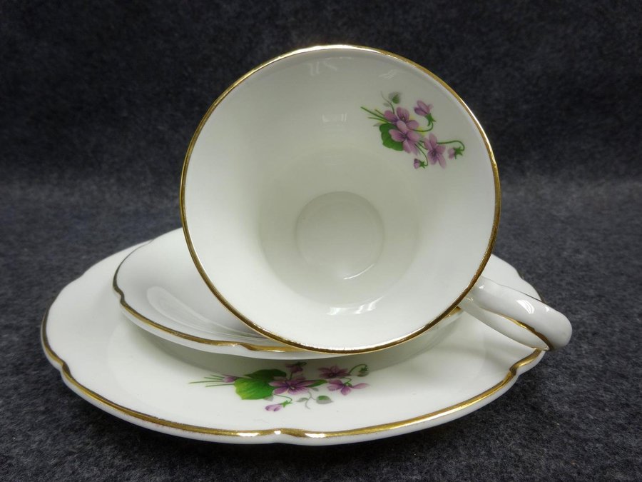 Royal Grafton Kaffekopp med Fat och Assiett Bone China England