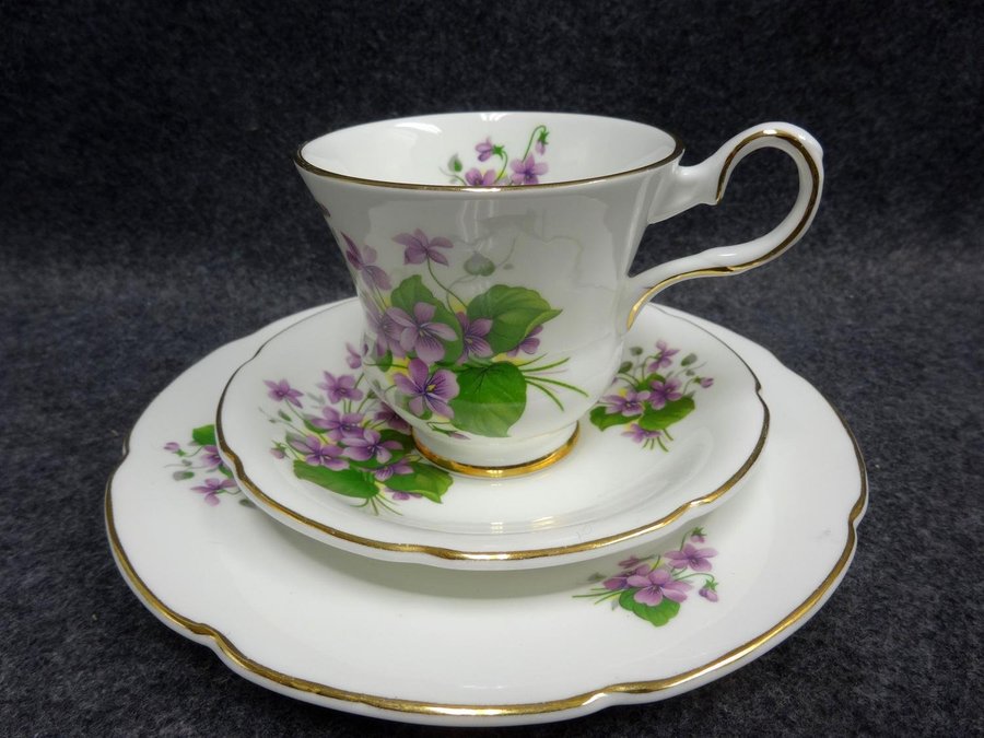 Royal Grafton Kaffekopp med Fat och Assiett Bone China England