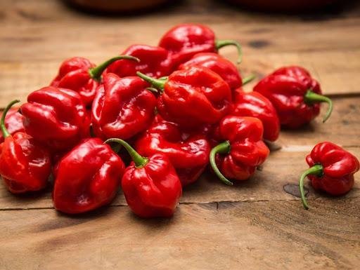 Chilipeppar Habanero red, höjd ca 40 cm, 8 st frön