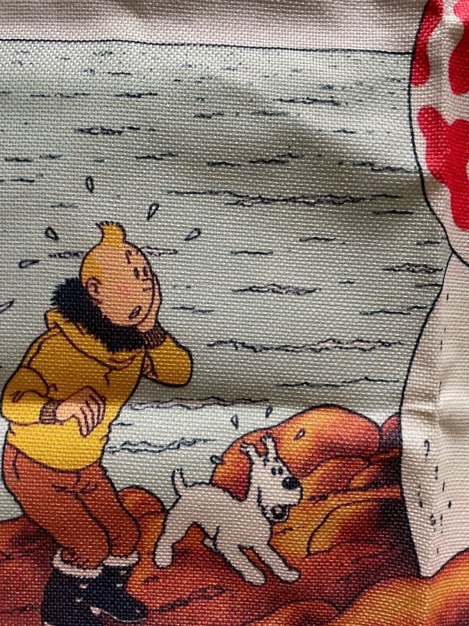 Tintin - Prydnadskuddefodral med klassiskt Tintin motiv