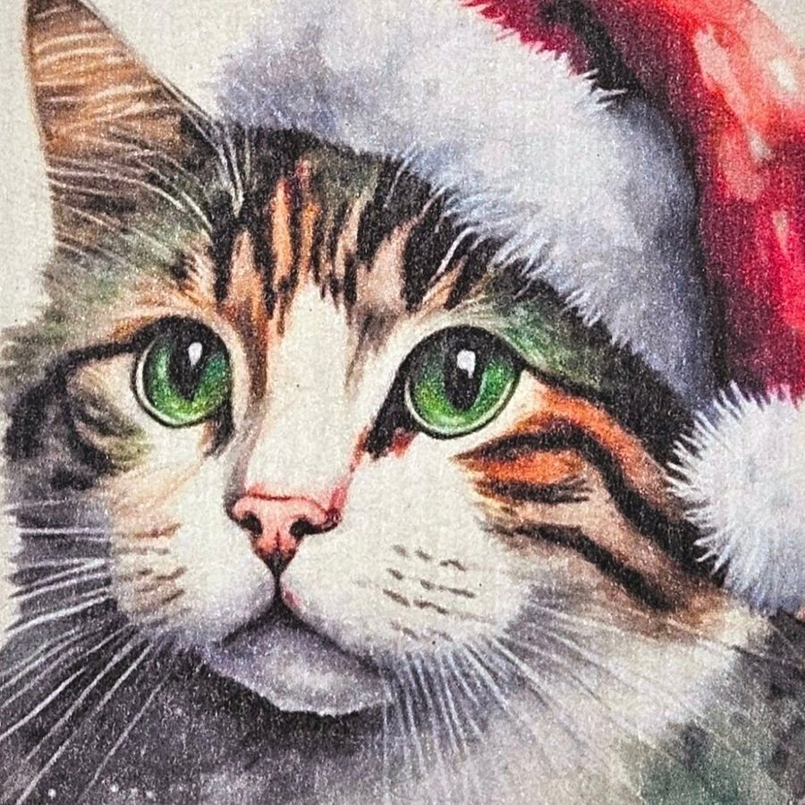 Disktrasa wettex duk med tryck en katt med tomteluva Christmas Jul