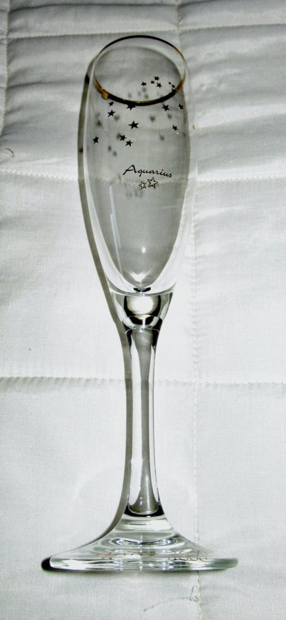 Ritzenhoff Crystal Horoskop CHAMPAGNEGLAS, 12 st Anno 2000.