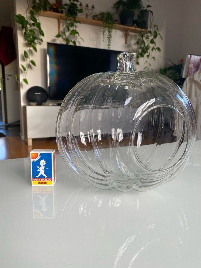 Stor pumpa i glas halloween godisgömma skål ljuslykta terrarium