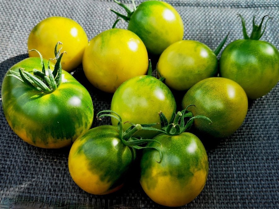 ESMERALDA GOLOSINA - Den sötaste tomaten i världen, frön tomatfrön