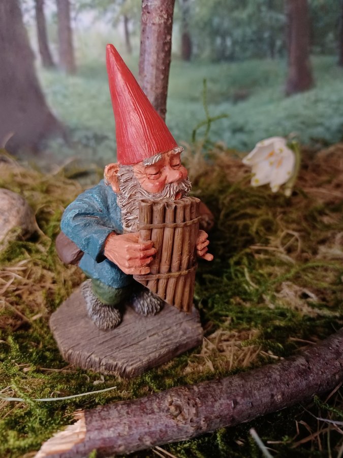 Gnomes Tomtar Rien Poortvliet