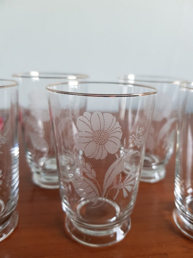 Vintage vackra selterglas 6 st, Äldre blommor dekor