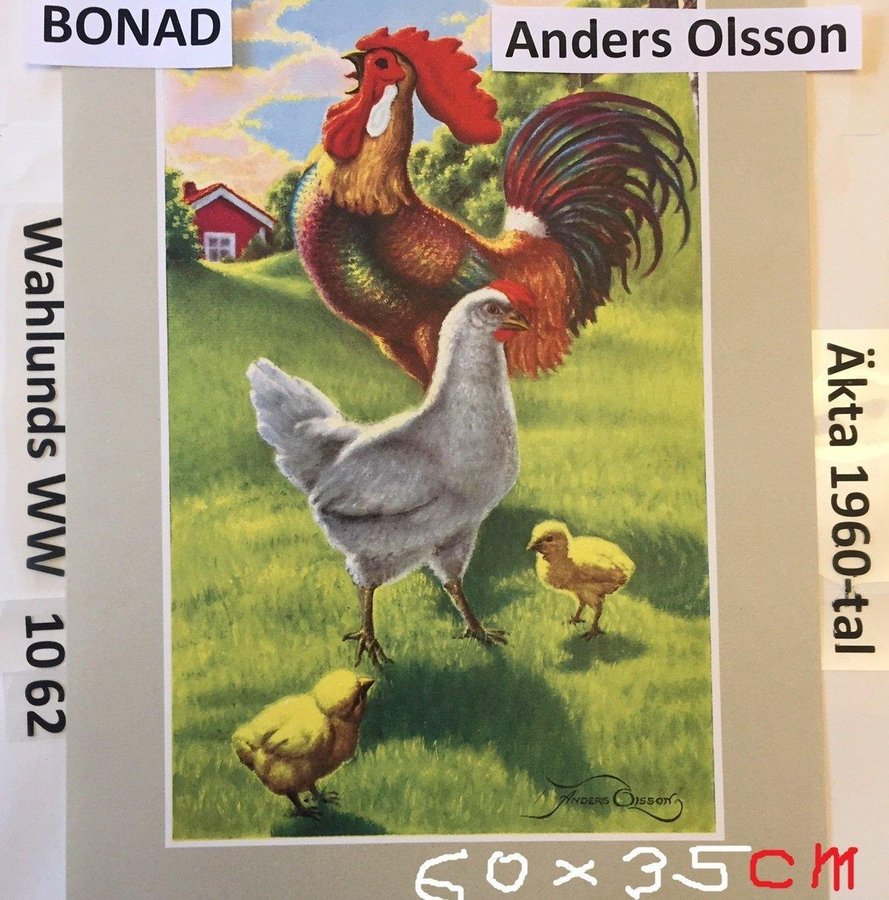 AO 1062: BONAD Anders Olsson: Hönsfamilj Äkta 1950t STOR Pappersbonad30x60c