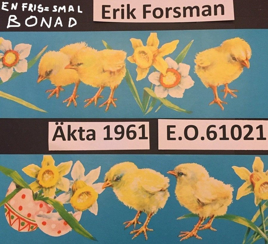 Erik FORSMAN-BONAD: Narcisser i färgskal EO61021=År 1961 Pappersbonad 7x88cm