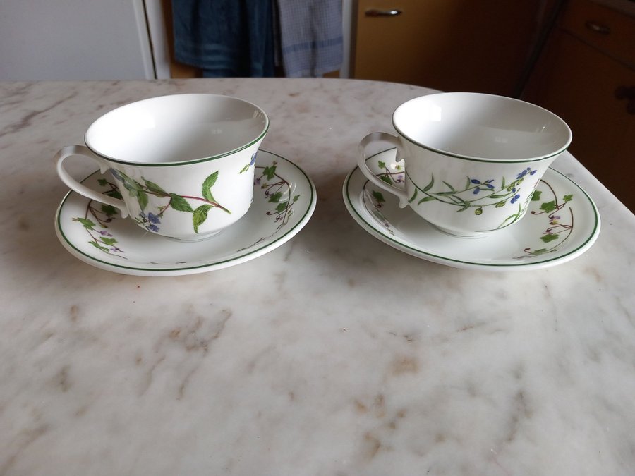 Two Portmeirion Porcelain Cups  Saucers. Welsh Wild Flowers.