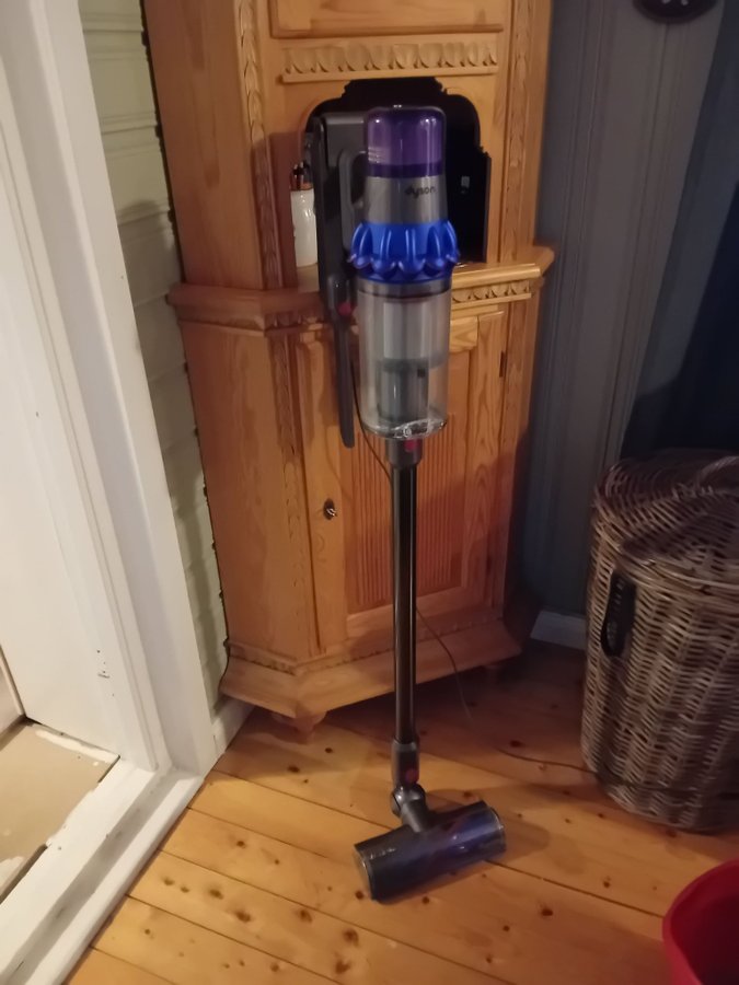 Dyson V15