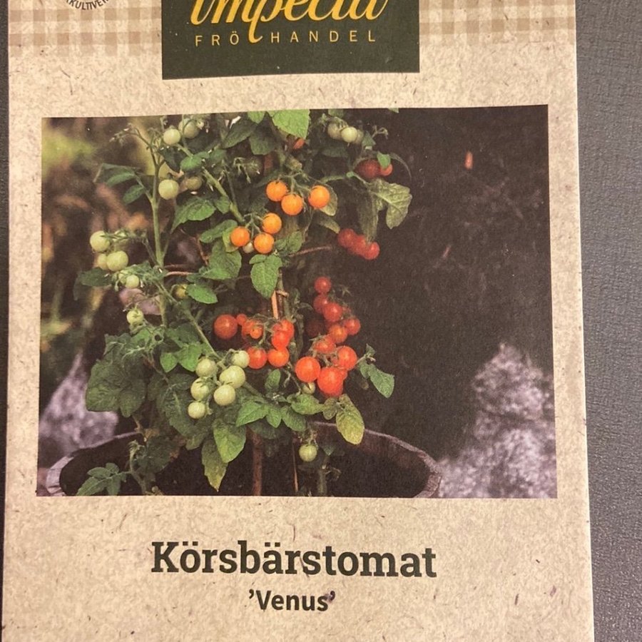 1: Tomatfrön 8 st - Venus - kruktomat - gula - körsbärstomat- 30 cm hög