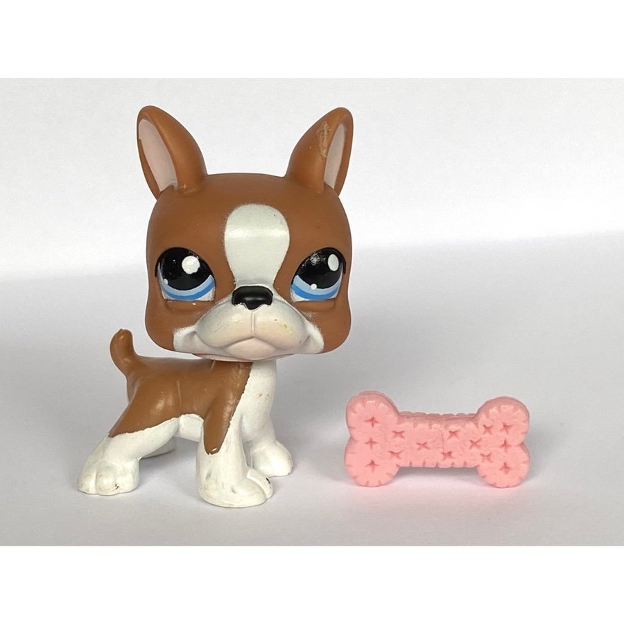 Hund Bostonterrier - Littlest Pet Shop - Petshop Petshops Pet shops Lps