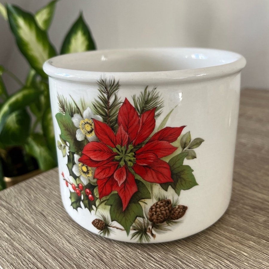 Portmeirion Pottery Julblomma Kruka