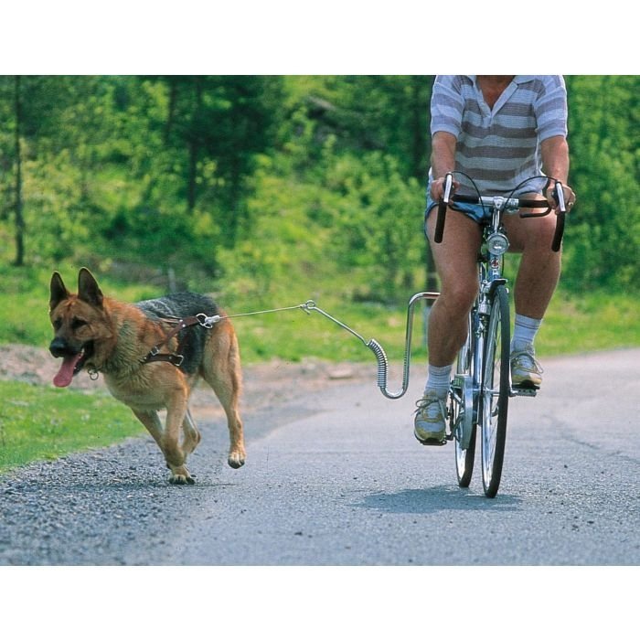 SPRINGER AMERICA CYKELFÄSTE HUND TRÄNING