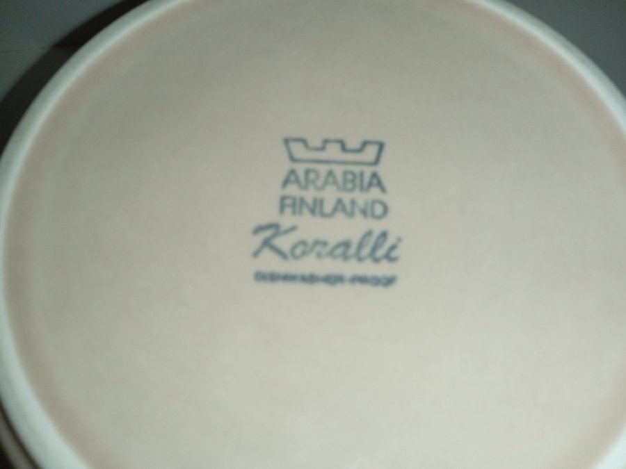 ARABIA KORALLI VATTENKANNA