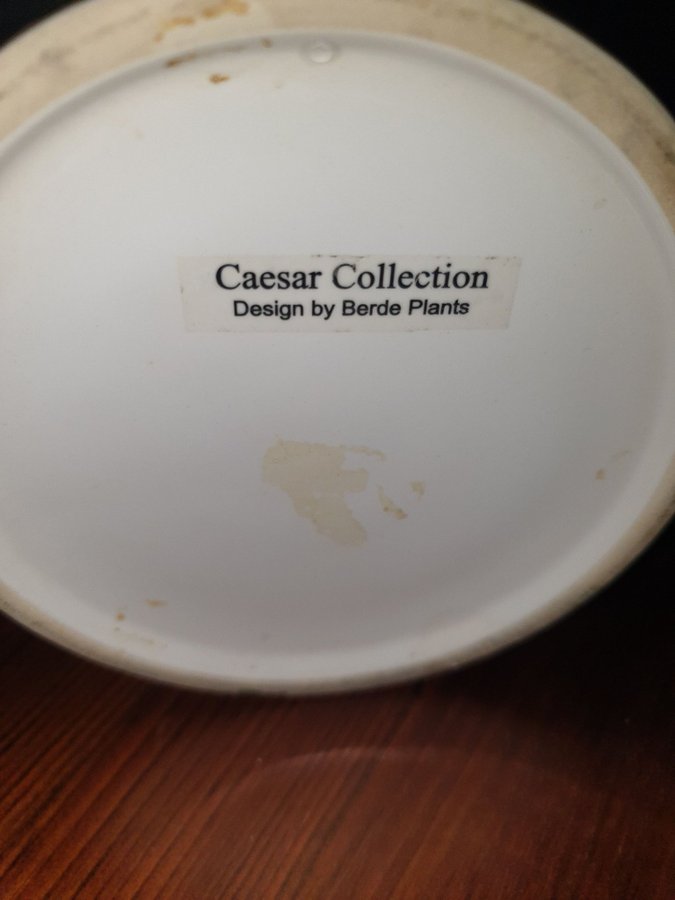 Caesar Collection burk