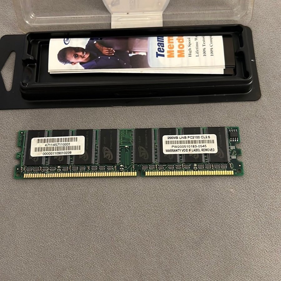 256 MB RAM minne Selectra